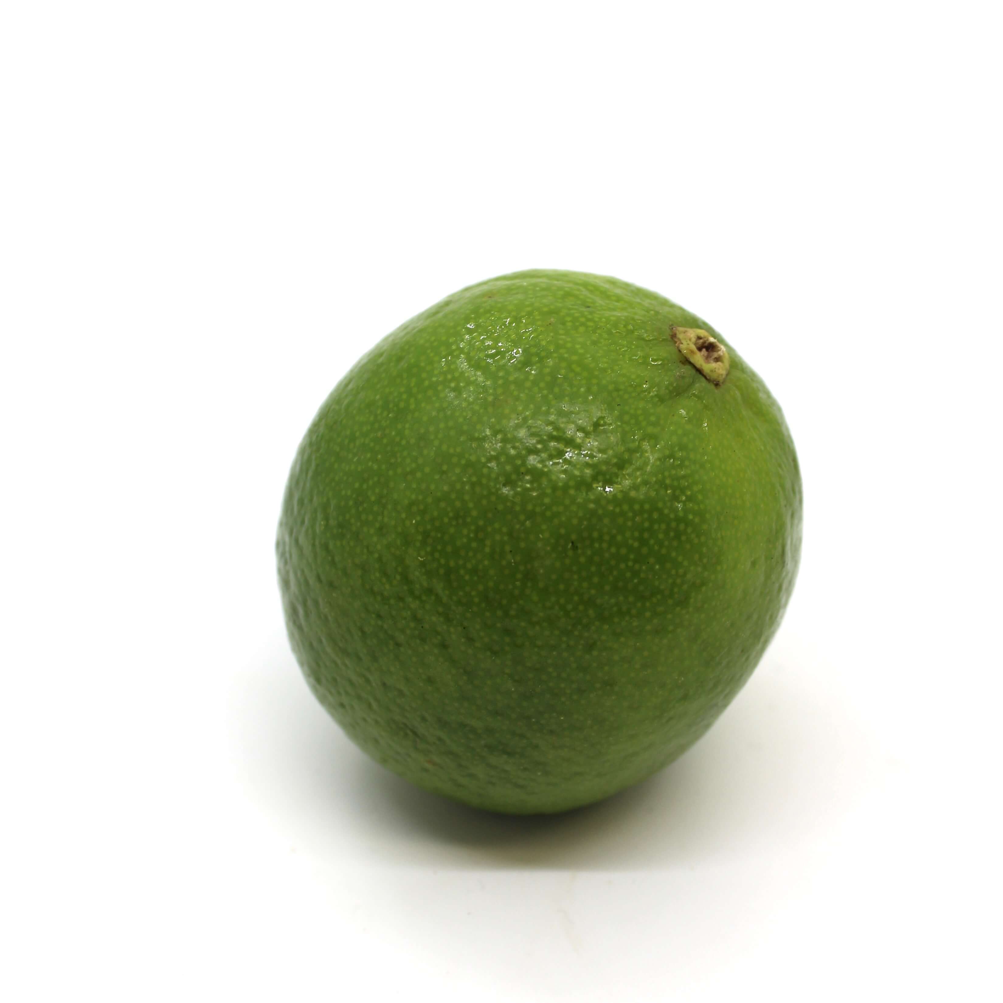 Lime on a white background