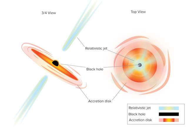 Many galaxies have supermassive black holes at their centers. These can feed on disks of gas and dust, shooting out jets of material at near light-speed. When the jets happen to point toward Earth, it’s considered a blazar. (Credit: Sophia Dagnello, NRAO/AUI/NSF)