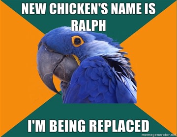 parrot-meme1.jpg