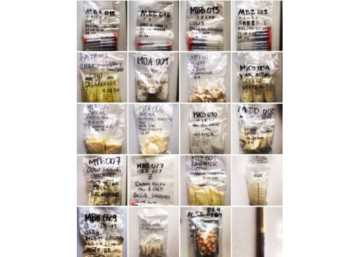02-Mongolian dairy products-1-e1580844823469