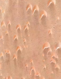 13-51-Worman-lg-231x300.jpg