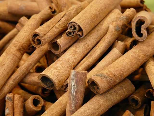 Cinnamon | Discover Magazine