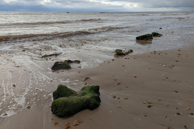 Dinosaur footprint fossils on the beach on the Isle of Wight