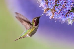 (Credit: Keneva Photography/Shutterstock)