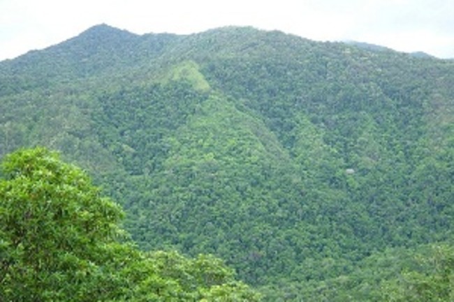 800px-DSC00686Cairns.jpg