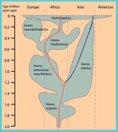 head%20lice%20tree.jpg