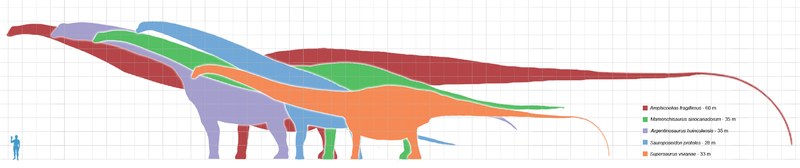 Longest_dinosaurs1.png