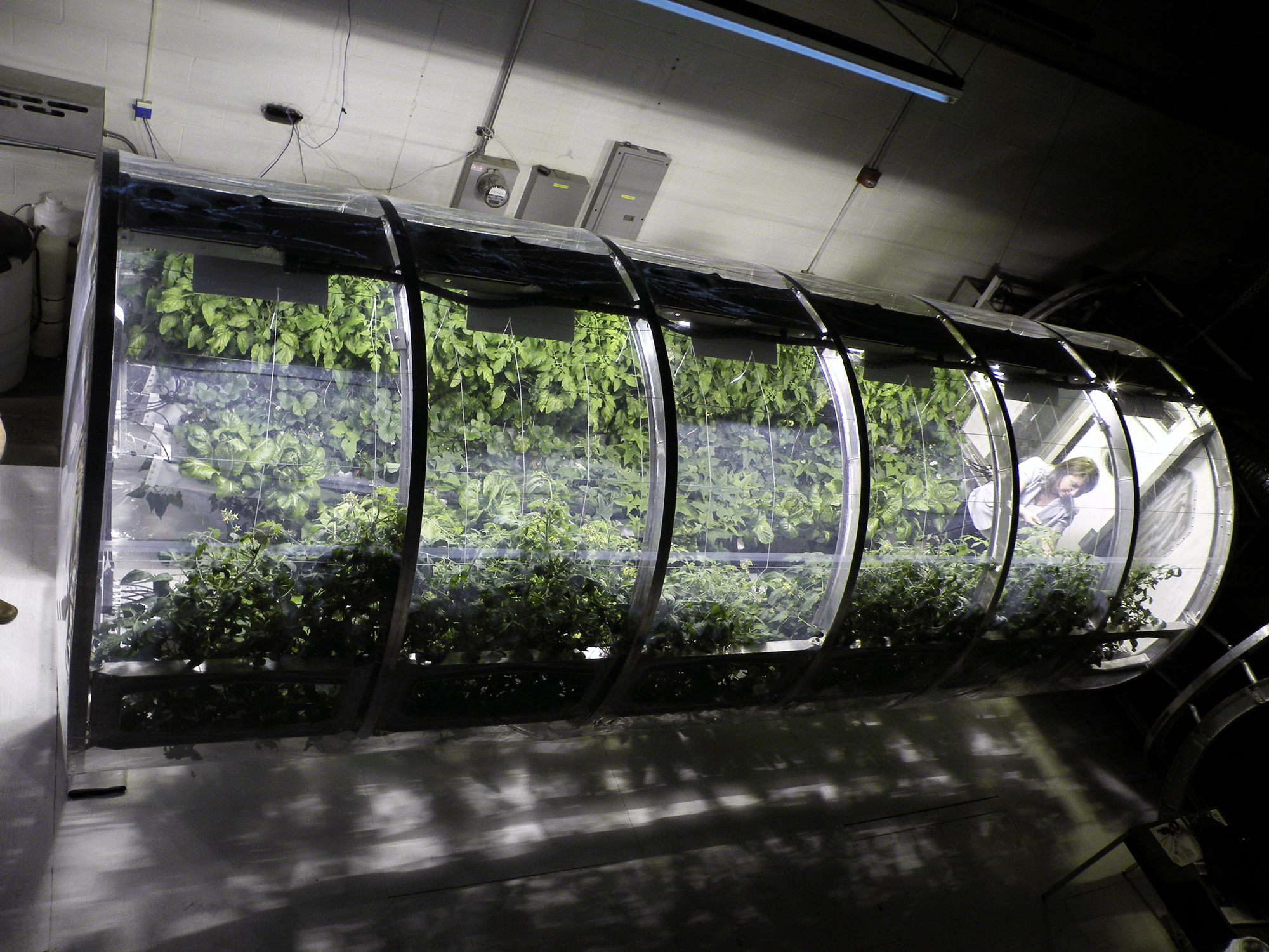 Lunar Greenhouse - University of Arizona