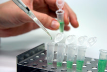 test-tubes.jpg