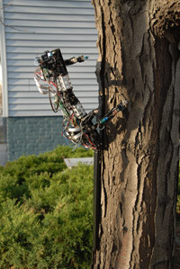 Gecko_robot.jpg