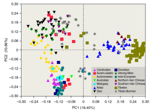 mtDNA-300x220.png