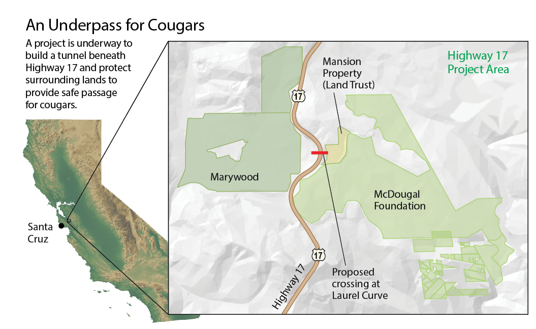 California cougar map - Jay Smith