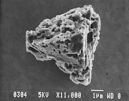 Ancient Grains Of Dust From Space Can Be Found On Earth Discover Magazine