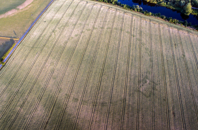 Drought Uncovers Ancient Irish Henge - mythicalireland.com