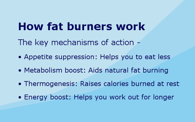 The 5 Best Fat Burners for Women [2020 Guide]on November 17, 2020 at 1: ...