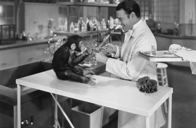 Researcher and monkey