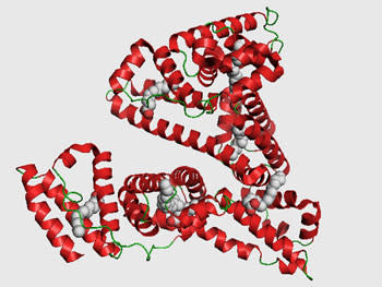 ALB_structure.jpg