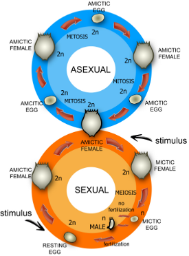 sexthee0.png