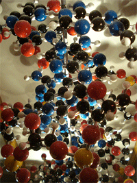 DNA1.gif