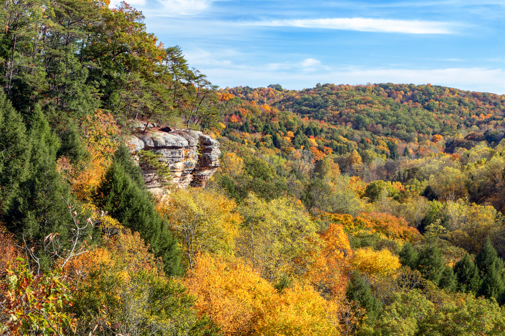 Les forêts du Midwest américain ont doublé leur stockage de carbone pendant l’Holocène