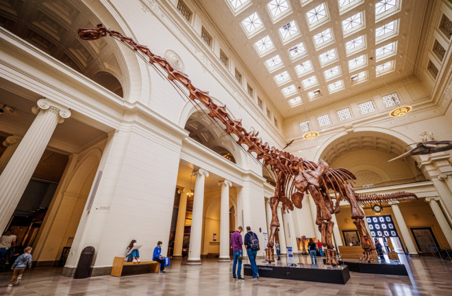 iew of an impressive fossil skeleton of a Titanosaur, one of the largest animals ever lived, at the Field Natural History Museum in Chicago, IL, USA