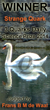 3QDscience_strange_quark.jpg