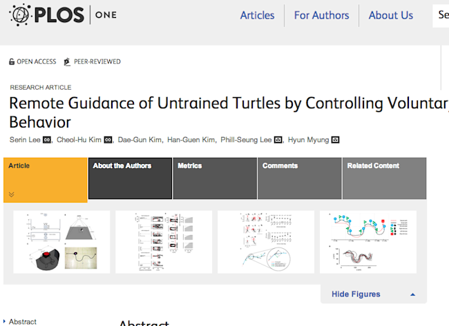 turtle-guidance.png
