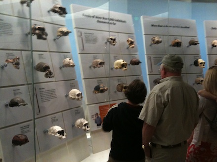 skull-wall440.jpg