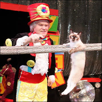 performingcat.jpg
