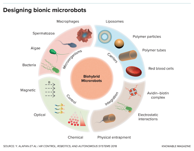 G-designing-bionic-microrobots-alt-1024x797