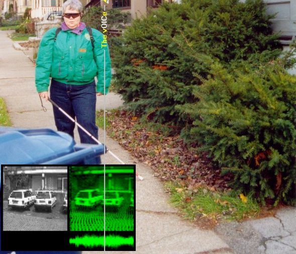 Blind Sight The Next Generation of Sensory Substitution Technology