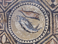 Mosaic Fishes.jpg