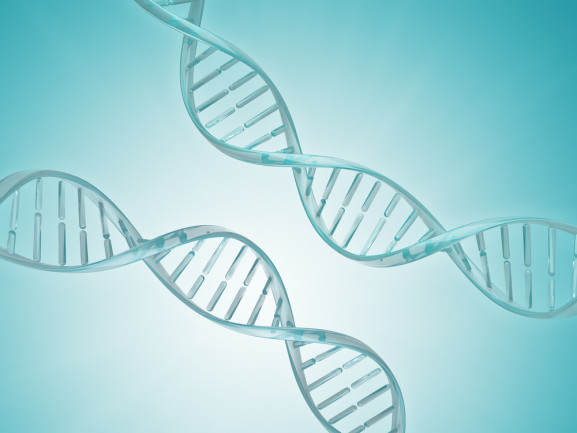 Two spiral DNA strand. Medical science blue background. 3D illustration for design. 