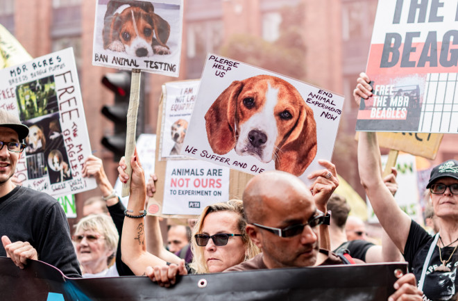 Animal rights march