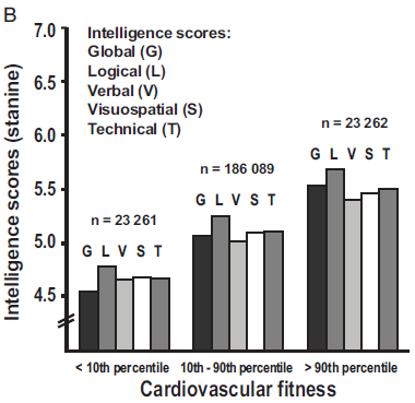 IQphys.png