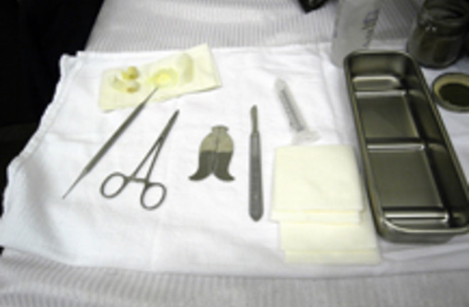 circumcision-tools.jpg