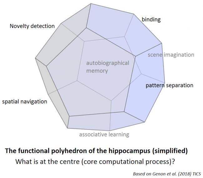 functional polyhedron-768x673