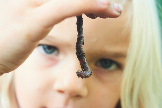 Child holding earthworm
