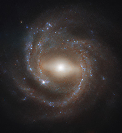Hubble Reveals The Tendril Like Arms Of This Barred Spiral Galaxy Discover Magazine