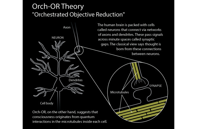 ORCH-OR-Theory