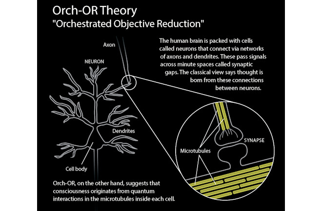 ORCH-OR-Theory