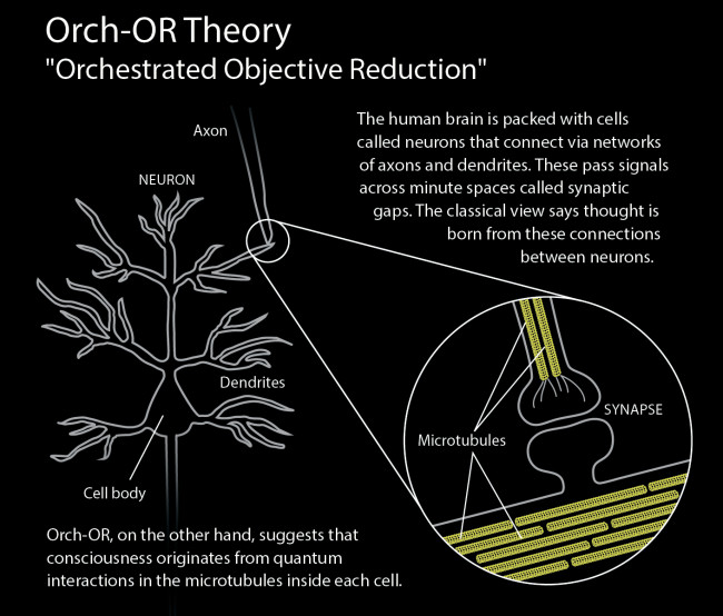 ORCH-OR-Theory