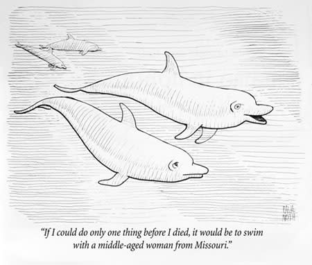 dolphins450.jpg
