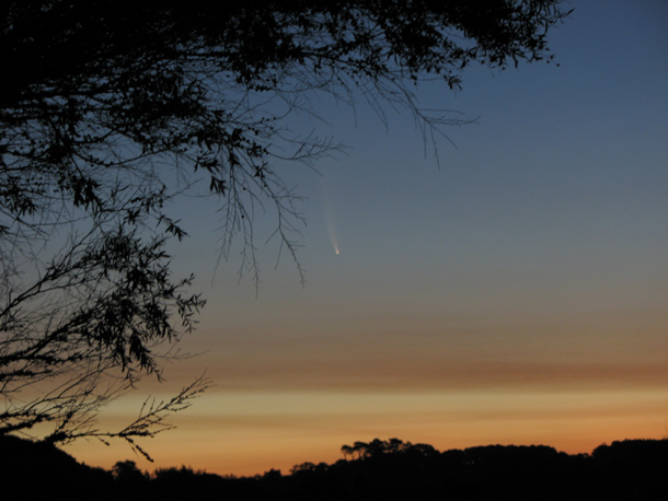 comet_mcnaught_daytime.jpg