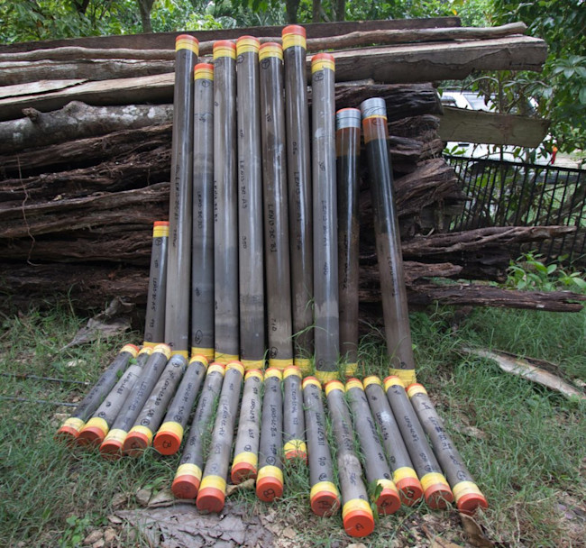 Witzna Sediment Samples - David Wahl