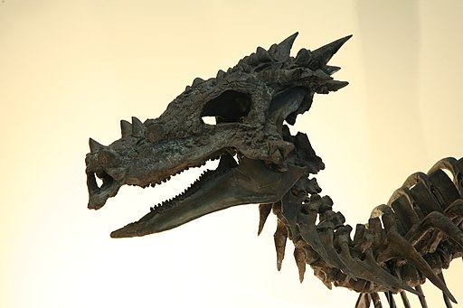 4 Dragons That Have Entered the Fossil Record | Discover Magazine