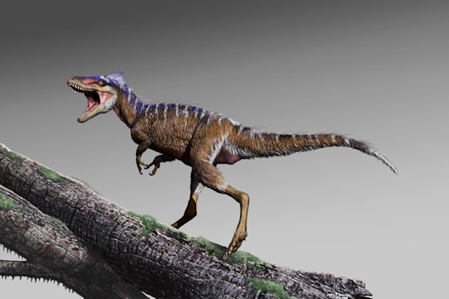 A New Species Of Tiny Tyrannosaur Helps Explain The Rise Of T Rex Discover Magazine