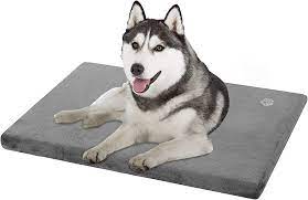 Allisandro Water-Proof Dog Bed, Washable Mat Crate