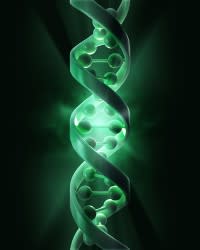 dna-e1328036311759.jpg