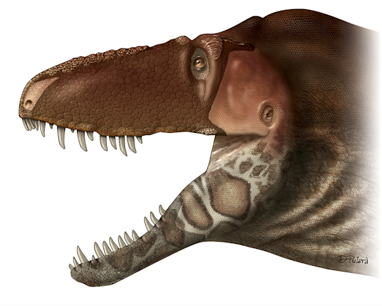 The Touching Story of a Dinosaur Face | Discover Magazine